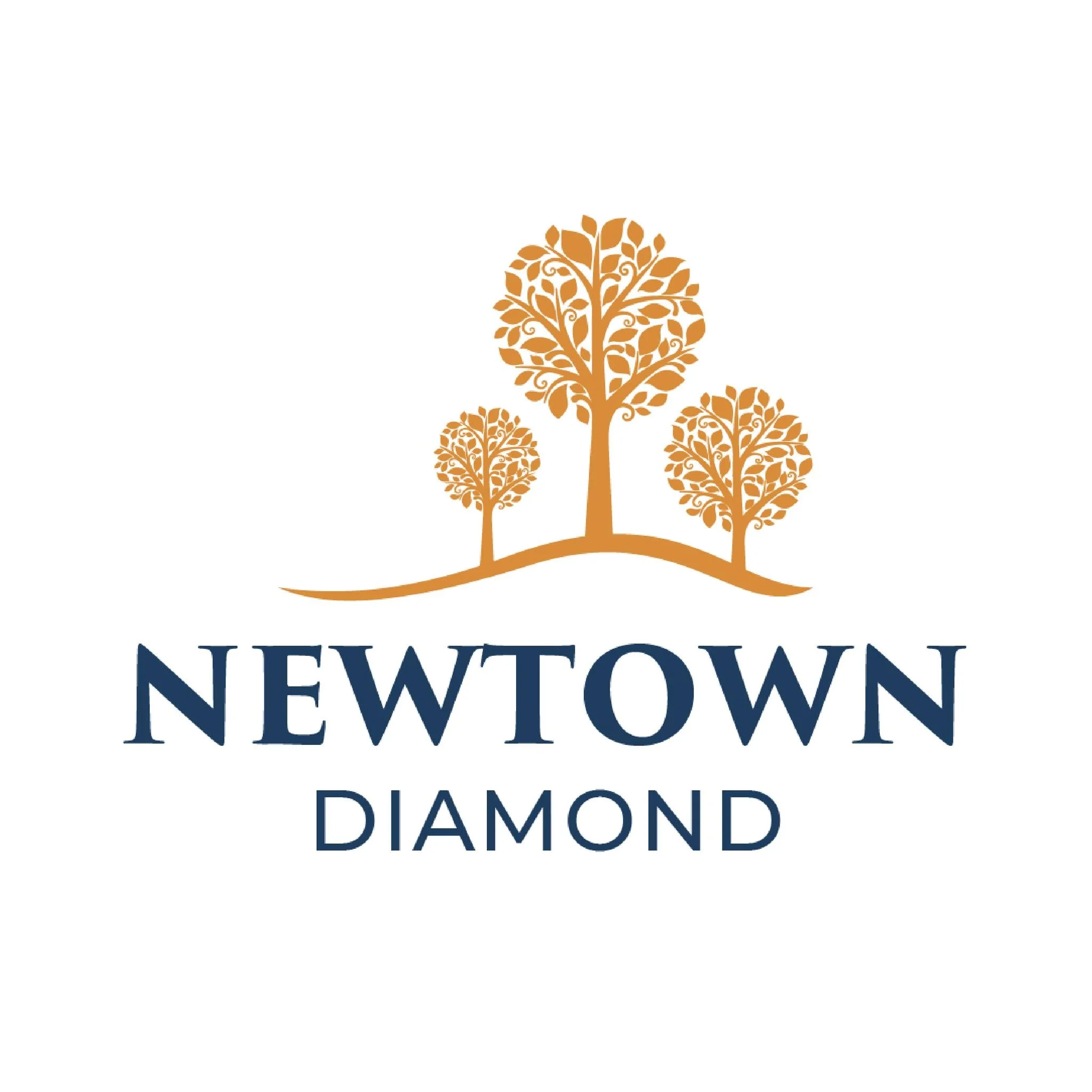 Logo Newtown Diamond Đà Nẵng - Chung cư cao cấp mặt biển